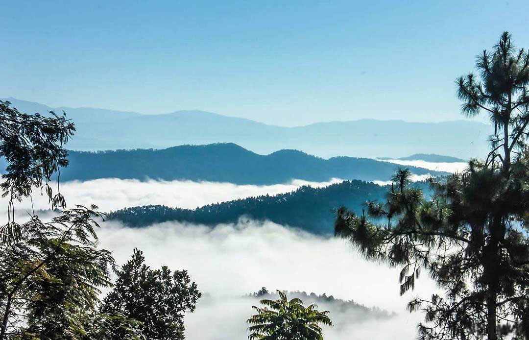 Arakan Mountains Northern Triangle Forests IM10 One Earth